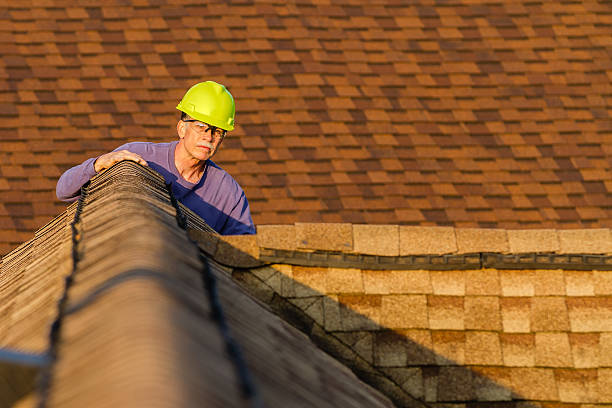 Best Gutter Installation and Roofing  in Jewett City, CT